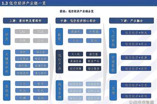 苏群：湖人废了伍德且海斯难堪大用 要给浓眉找一个新替补了